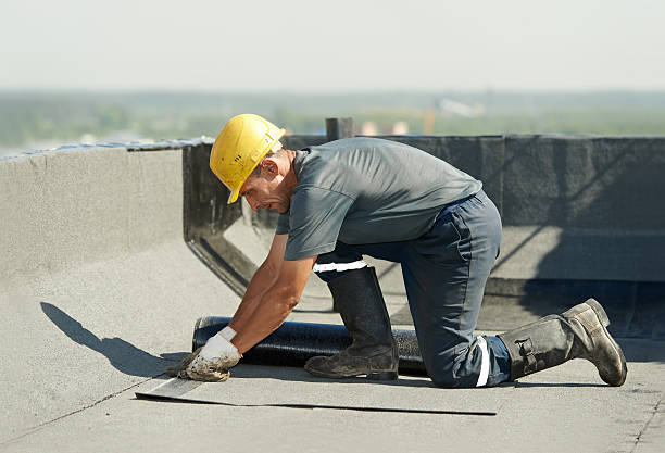 Best Geographic-Specific Insulation Services in Shiloh, PA